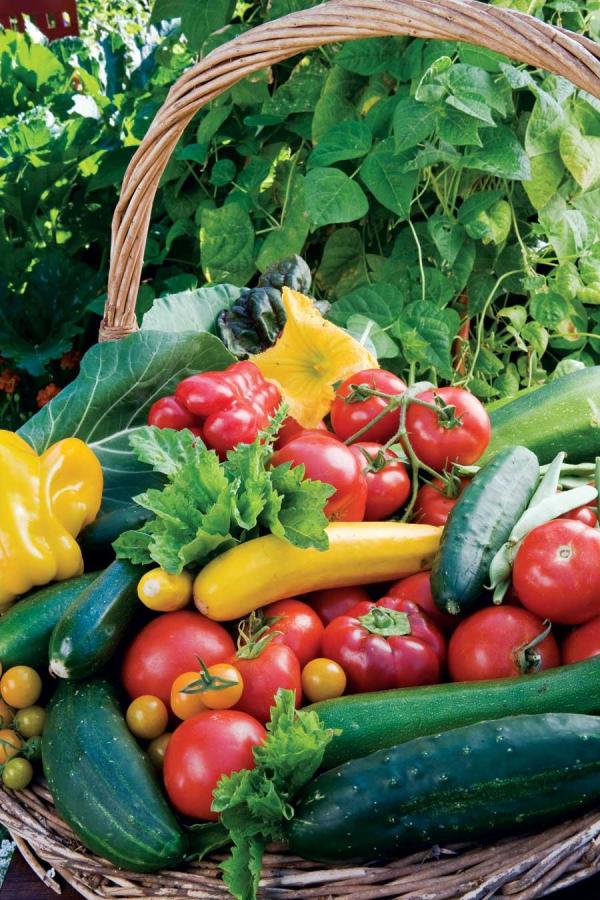 basket full of fresh vegetables including tomatoes and cucumbers