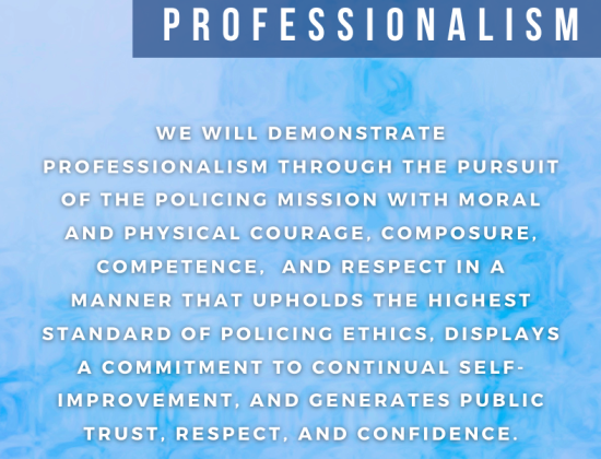 Core Value Professionalism