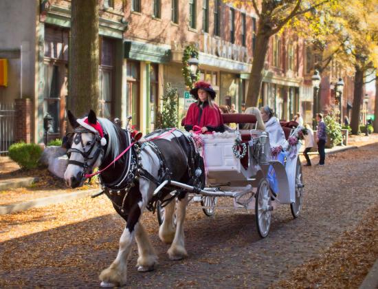 Enjoy a ride in downtown Paducah in the carriage.