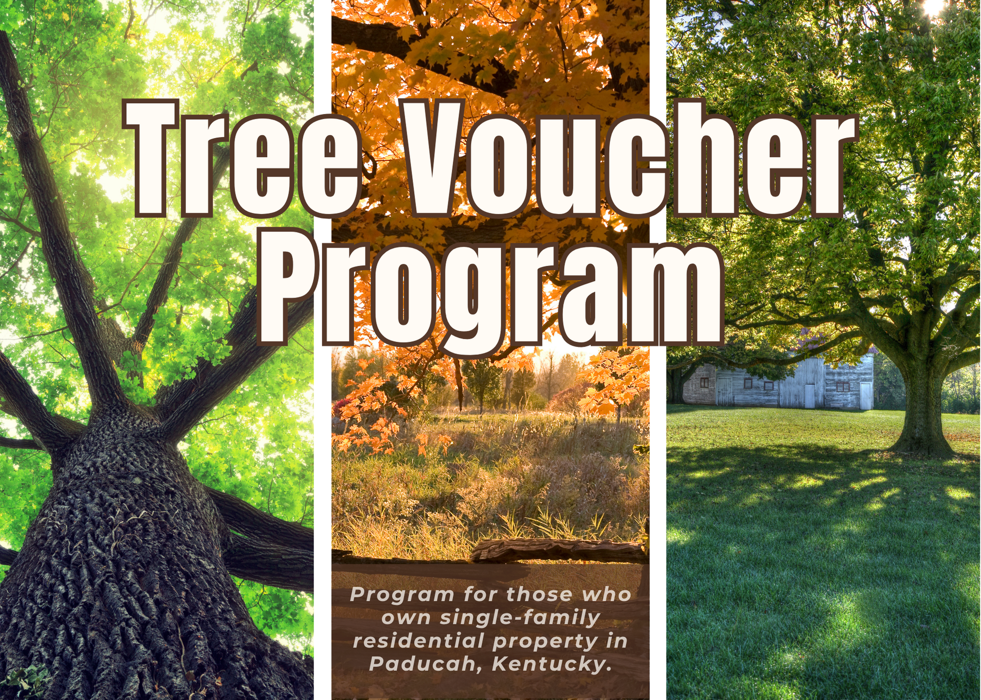 tree voucher program image